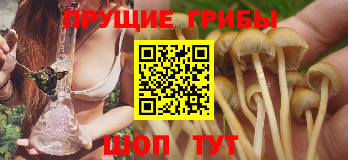 Псилоцибиновые грибы прущие грибы  купить   Галлюциногенные грибы Magic Shrooms  Азов  Вход с VPN 