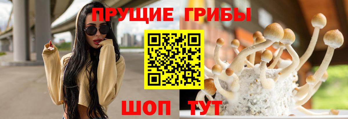 Псилоцибиновые грибы MAGIC MUSHROOMS Азов